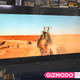 Illustration for article titled This 65-Inch PC Gaming Monitor Burned My Eyes in the Good Way